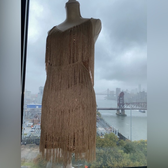 NWOT Lulus Get in the Groove Sequin Fringe Dress - Picture 3 of 9